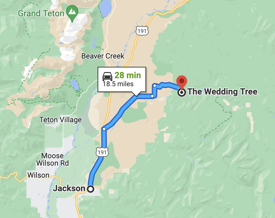 driving time from jackson to the wedding tree