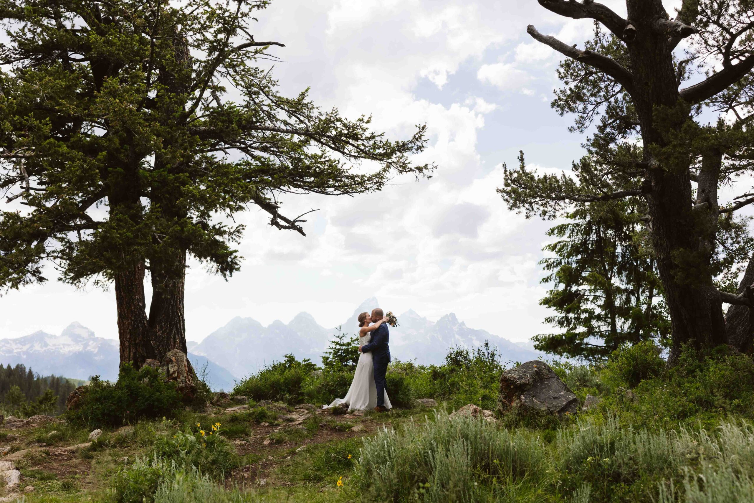 wedding couple kissing in front of the wedding tree during their jackson hole elopement