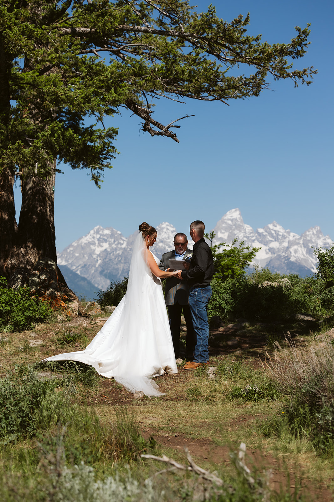 couple getting married at the wedding tree in jackson wy