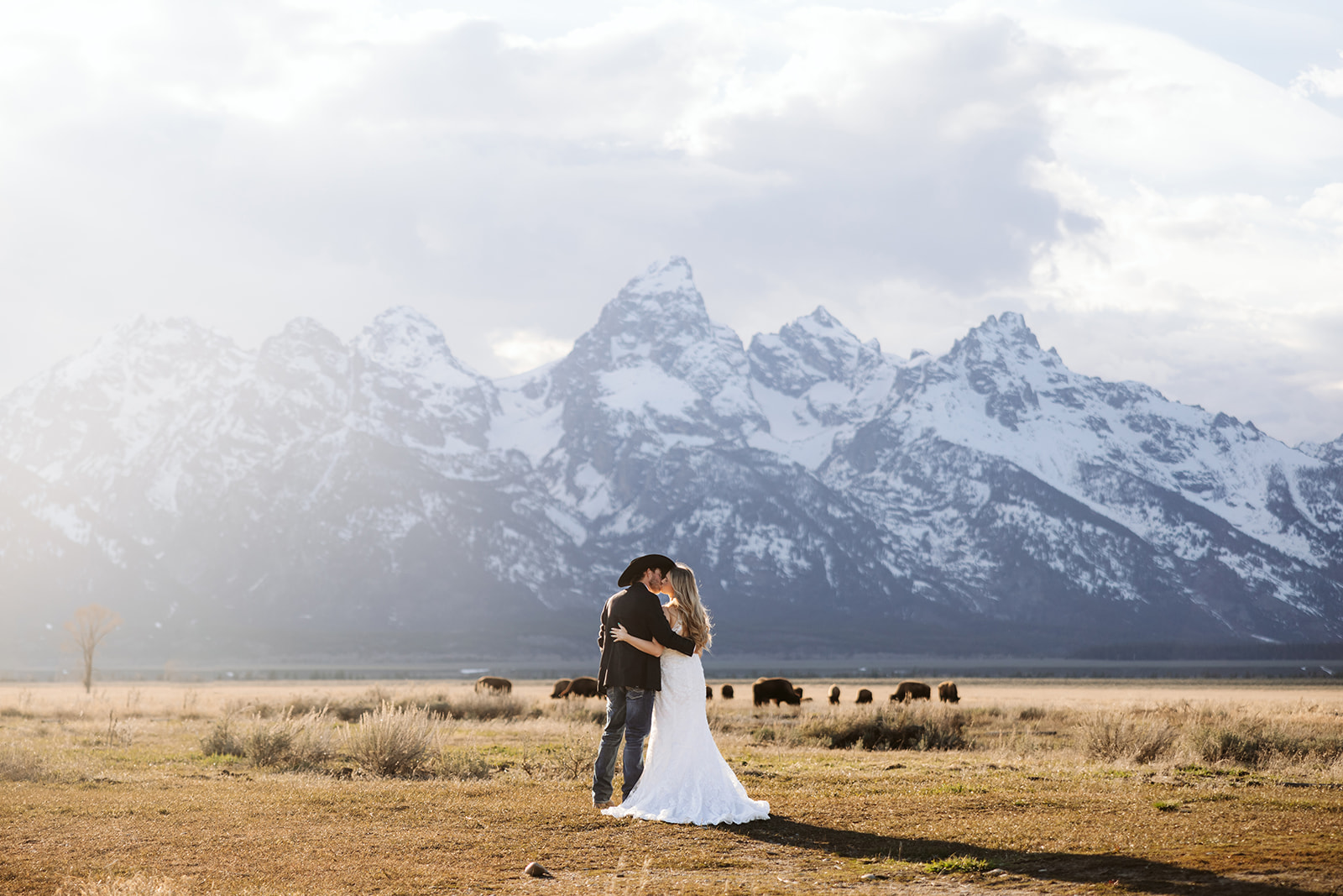A couple and bison during their May elopement at Mormon Row North in Grand Teton National Park