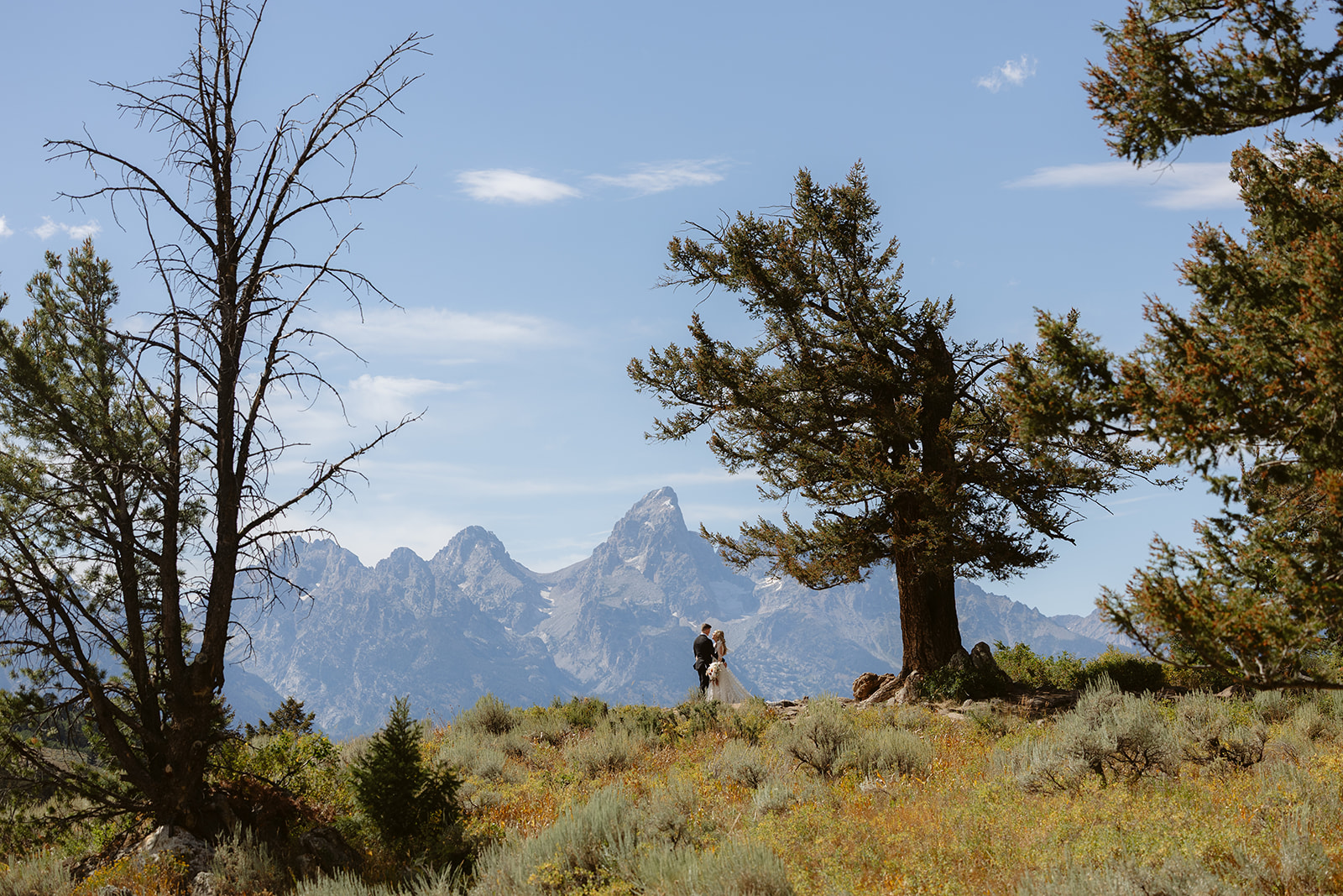 A couple on their wedding day at the wedding tree in wyoming